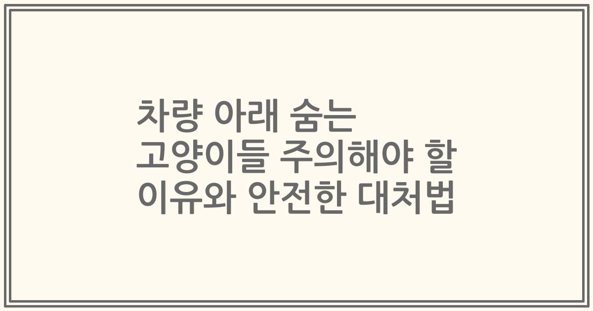 차량 아래 숨는 고양이들 주의해야 할 이유와 안전한 대처법