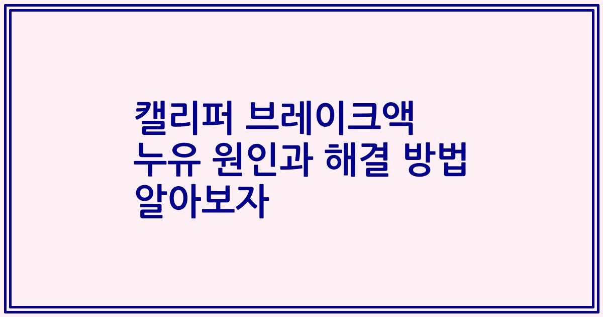캘리퍼 브레이크액 누유 원인과 해결 방법 알아보자