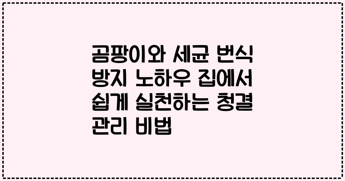 곰팡이와 세균 번식 방지 노하우 집에서 쉽게 실천하는 청결 관리 비법