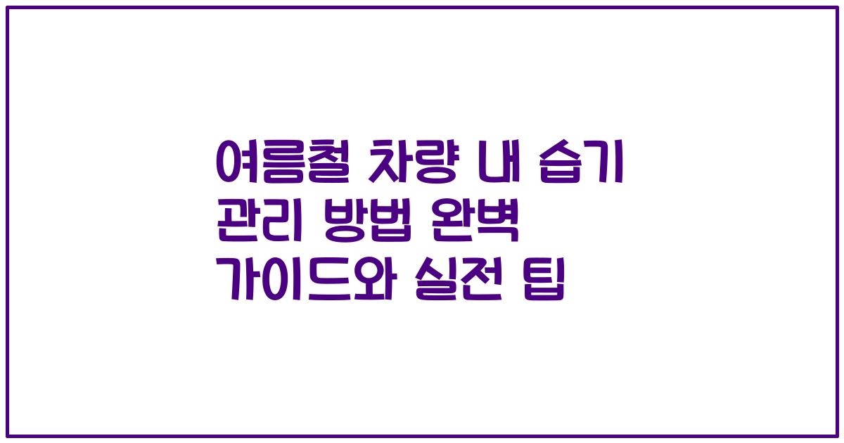 여름철 차량 내 습기 관리 방법 완벽 가이드와 실전 팁