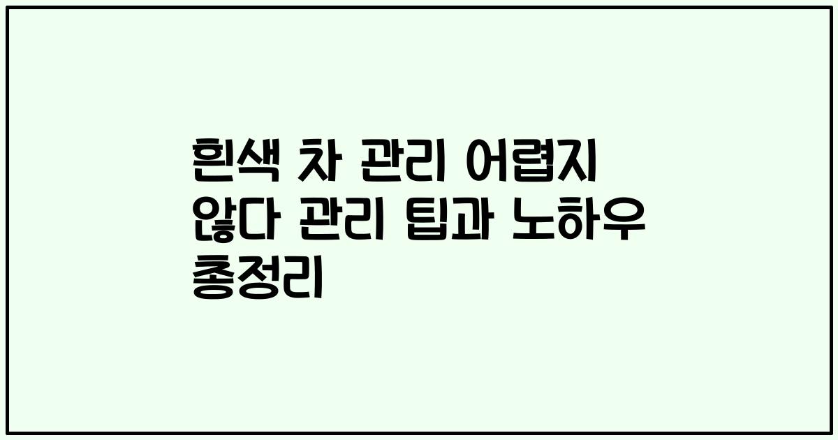흰색 차 관리 어렵지 않다 관리 팁과 노하우 총정리