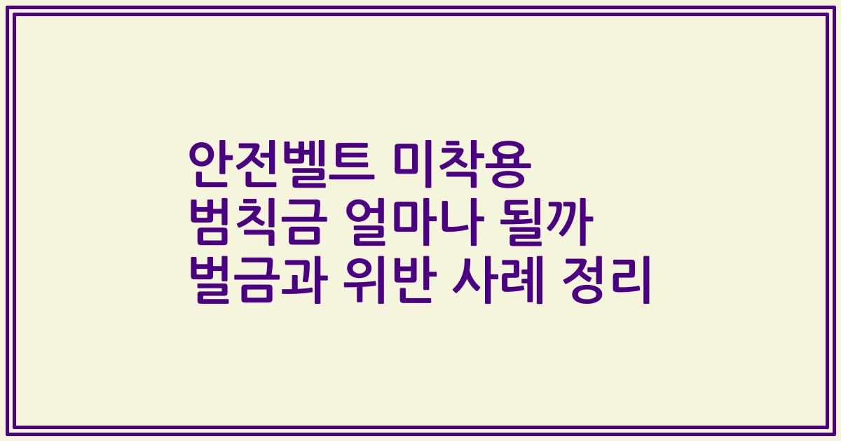 안전벨트 미착용 범칙금 얼마나 될까 벌금과 위반 사례 정리