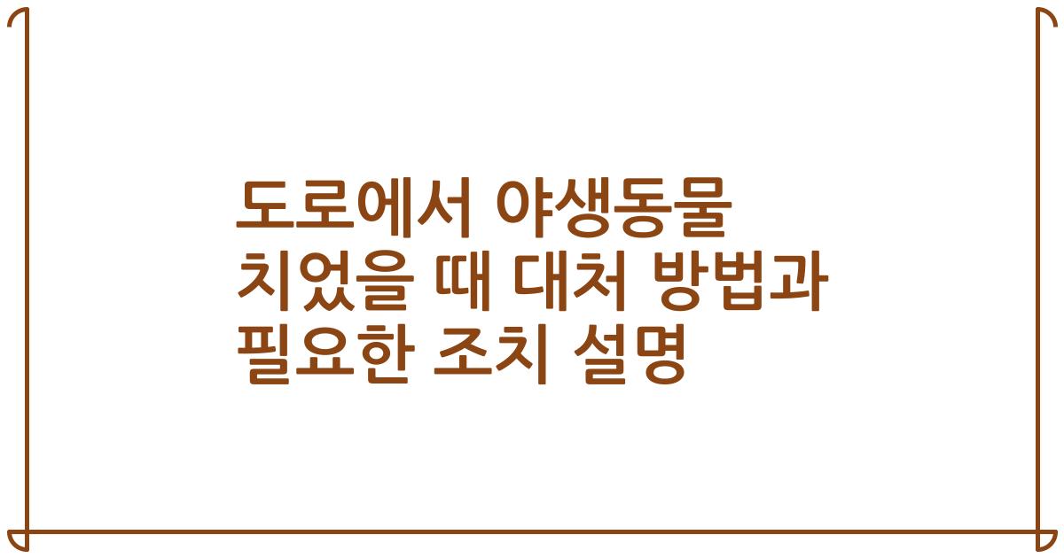 도로에서 야생동물 치었을 때 대처 방법과 필요한 조치 설명
